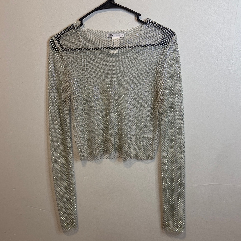 Zara Silver Mesh Long Sleeve Blouse
